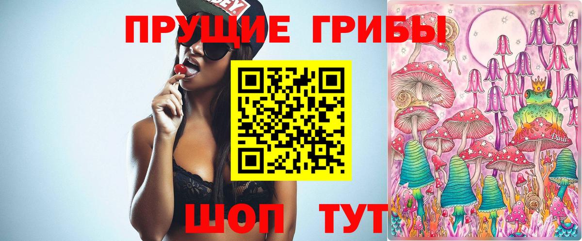 Чернушка  Псилоцибиновые грибы Psilocybe  Вход с VPN 